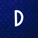 Foto da Equipa Defis